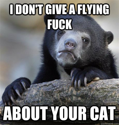 I don't give a flying fuck about your cat  Confession Bear