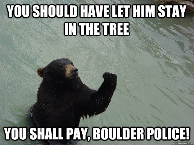 You should have let him stay in the tree You shall pay, boulder police!  Vengeful Bear