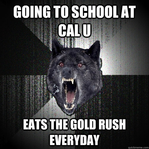 Going to school at Cal U Eats the Gold Rush everyday  Insanity Wolf
