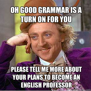 Oh good grammar is a turn on for you Please tell me more about your plans to become an English Professor  Willy Wonka Meme