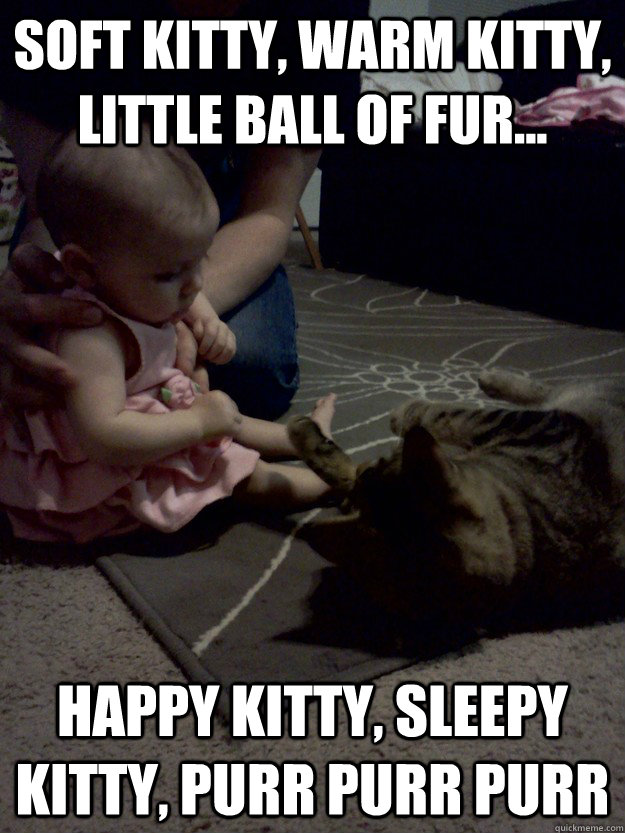 Soft kitty, Warm kitty, little ball of fur... happy kitty, sleepy kitty, purr purr purr - Soft kitty, Warm kitty, little ball of fur... happy kitty, sleepy kitty, purr purr purr  moonpies song
