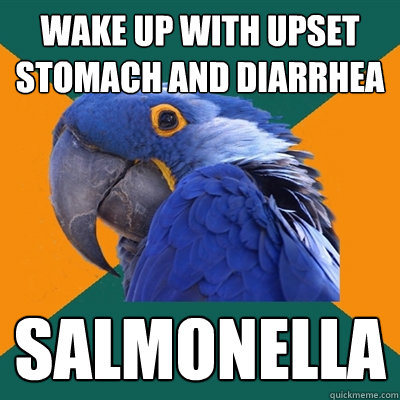 wake up with upset stomach and diarrhea Salmonella  Paranoid Parrot