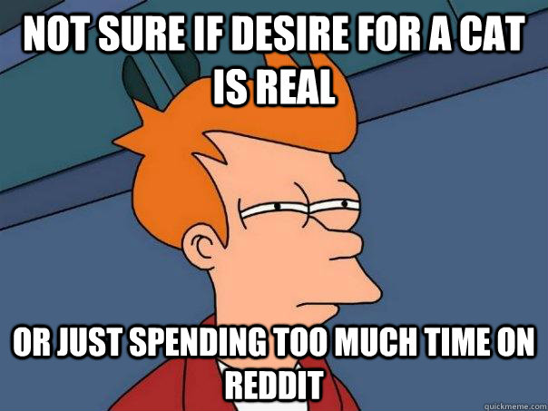 Not sure if desire for a cat is real Or just spending too much time on reddit  Futurama Fry
