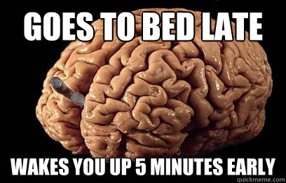 Goes to bed late wakes you up 5 minutes early  Good Guy Brain