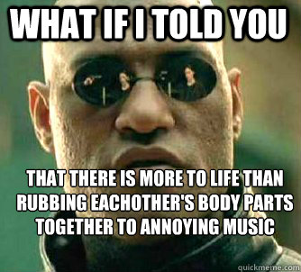 what if i told you that there is more to life than rubbing eachother's body parts together to annoying music  Matrix Morpheus
