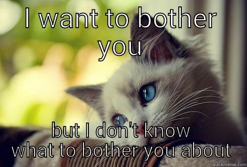 I WANT TO BOTHER YOU BUT I DON'T KNOW WHAT TO BOTHER YOU ABOUT First World Problems Cat