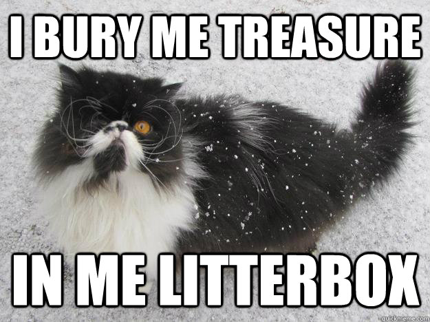 i bury me treasure in me litterbox  