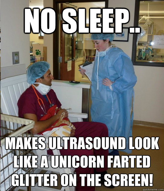 No sleep.. makes ultrasound look like a Unicorn farted glitter on the screen!  Overworked Veterinary Student