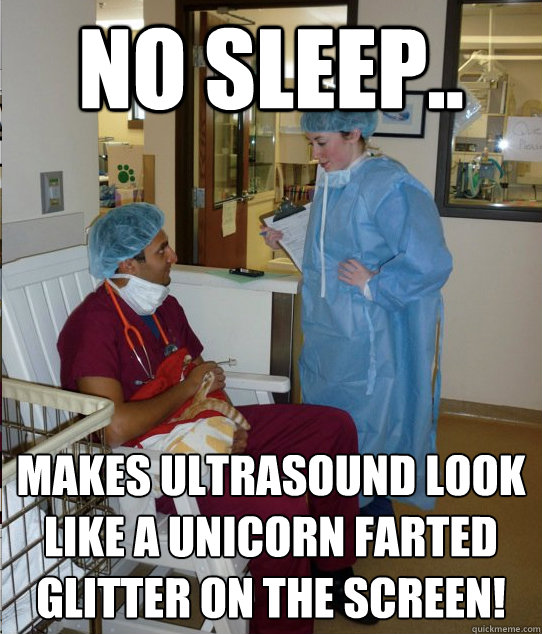 No sleep.. makes ultrasound look like a Unicorn farted glitter on the screen! - No sleep.. makes ultrasound look like a Unicorn farted glitter on the screen!  Overworked Veterinary Student