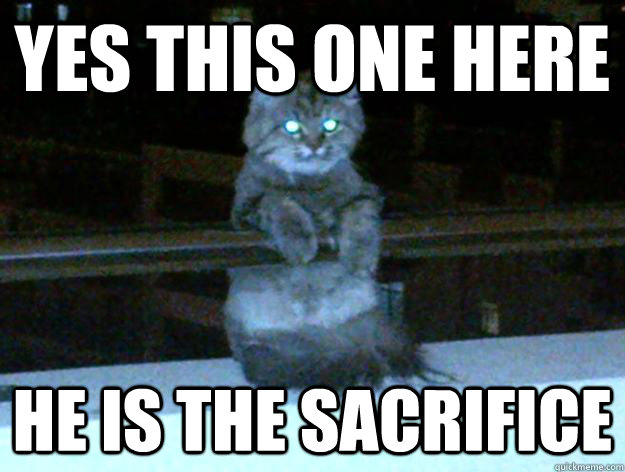 Yes this one here He is the sacrifice  Evil Cat