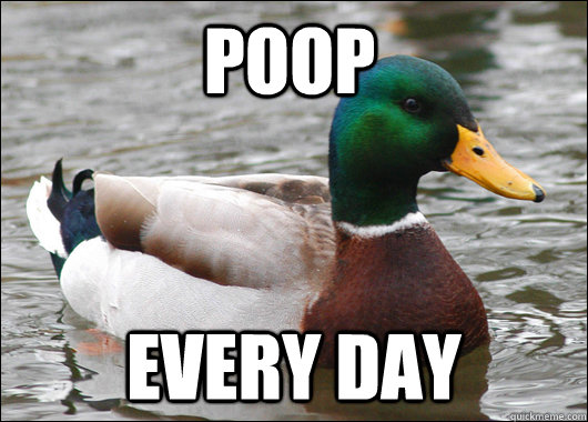 POOP EVERY DAY  Actual Advice Mallard