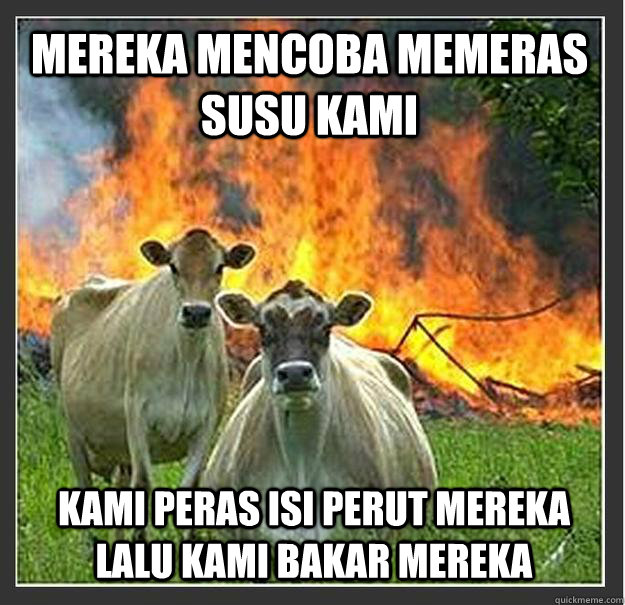 mereka mencoba memeras susu kami kami peras isi perut mereka lalu kami bakar mereka  Evil cows