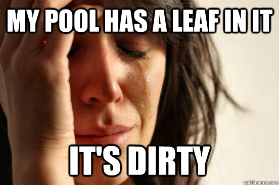 My pool has a leaf in it It's dirty  First World Problems