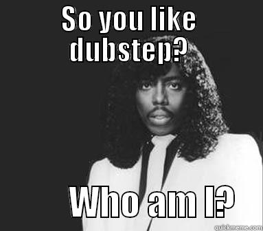 So you like dubstep? - SO YOU LIKE DUBSTEP?            WHO AM I?    Misc