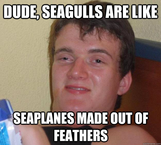 Dude, seagulls are like seaplanes made out of feathers - Dude, seagulls are like seaplanes made out of feathers  10 Guy