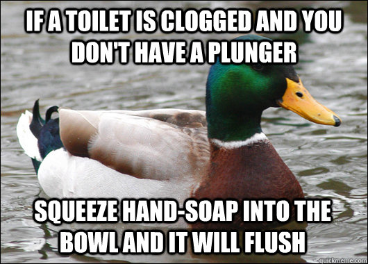 If a toilet is clogged and you don't have a plunger squeeze hand-soap into the bowl and it will flush - If a toilet is clogged and you don't have a plunger squeeze hand-soap into the bowl and it will flush  Actual Advice Mallard