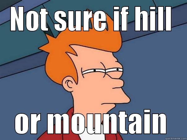 NOT SURE IF HILL OR MOUNTAIN Futurama Fry