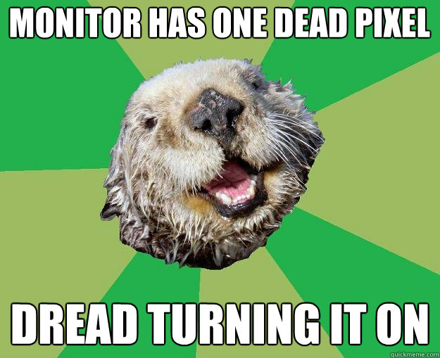 Monitor has one dead pixel Dread turning it on  OCD Otter