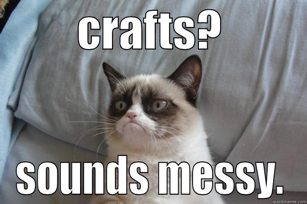 CRAFTS? SOUNDS MESSY. Grumpy Cat