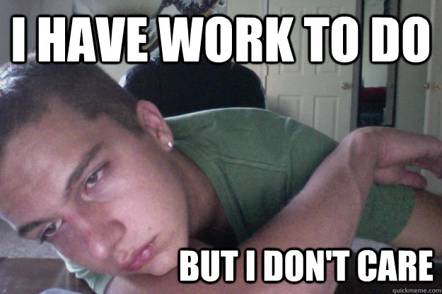 I have work to do but I don't care  Hardcore Redditor