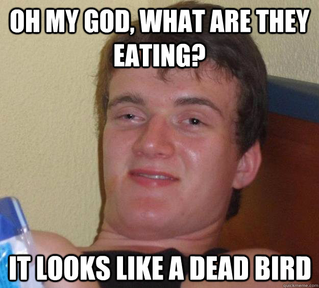 Oh my god, what are they eating? it looks like a dead bird - Oh my god, what are they eating? it looks like a dead bird  10 Guy