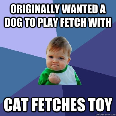 originally wanted a dog to play fetch with cat fetches toy   Success Kid