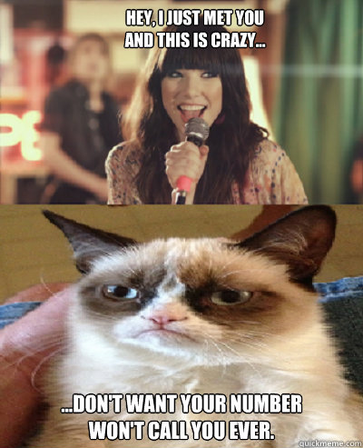 Hey, I just met you
and this is crazy... ...Don't want your number
won't call you ever. - Hey, I just met you
and this is crazy... ...Don't want your number
won't call you ever.  Carly Rae Jepsen meets Tard the Grumpy Cat
