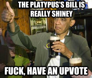 The platypus's bill is really shiney Fuck, have an upvote - The platypus's bill is really shiney Fuck, have an upvote  Obama cool