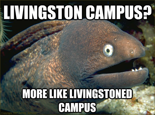 Livingston Campus? More like livingstoned campus  Bad Joke Eel