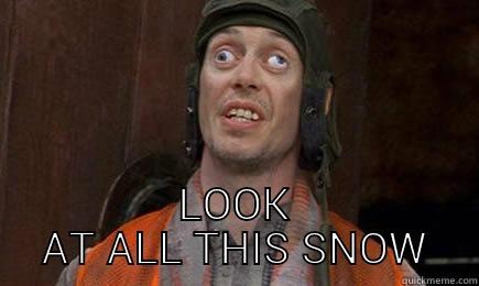 crazy eyes blizzard -  LOOK AT ALL THIS SNOW Schrute