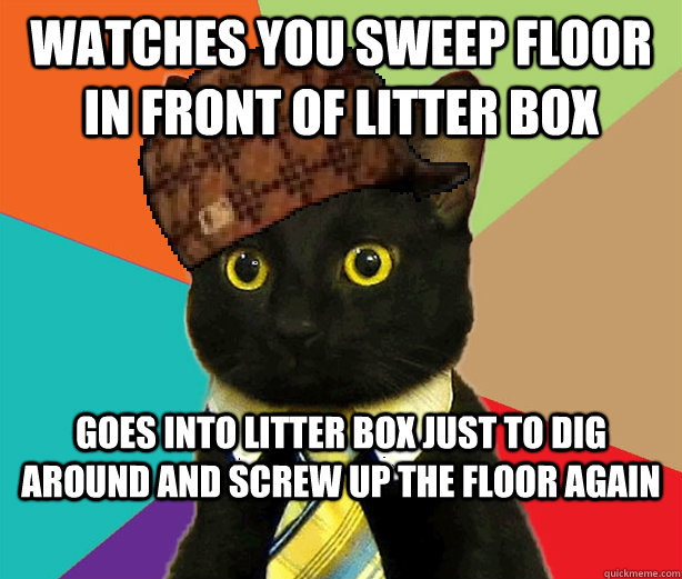 Watches you sweep floor in front of litter box Goes into litter box just to dig around and screw up the floor again  Scumbag Cat