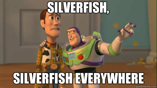 Silverfish, silverfish everywhere  Everywhere