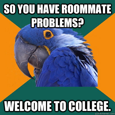 S0 you have roommate problems? welcome to college.  Paranoid Parrot
