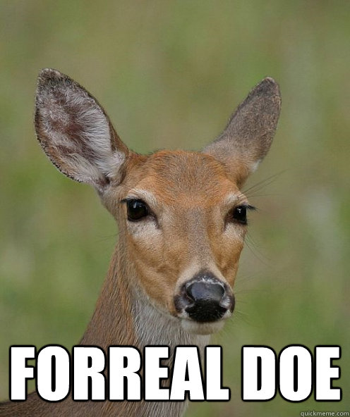 FORREAL DOE - FORREAL DOE  FORREAL DOE