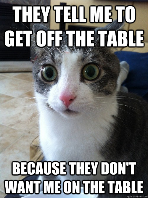 they tell me to get off the table because they don't want me on the table - they tell me to get off the table because they don't want me on the table  Sudden Clarity Cat