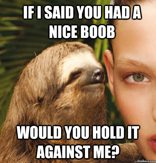 If I said you had a nice boob Would you hold it against me?  rape sloth