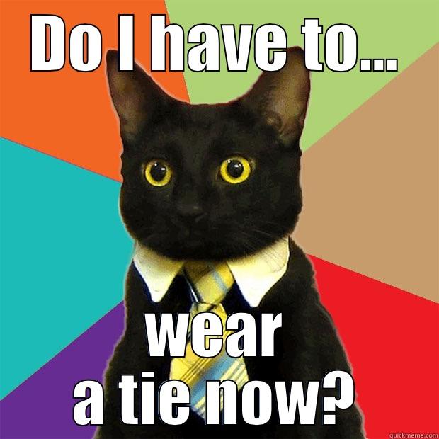 Dress Code?!?!?! - DO I HAVE TO... WEAR A TIE NOW? Business Cat