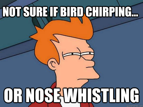 Not sure if bird chirping... or nose whistling  Futurama Fry