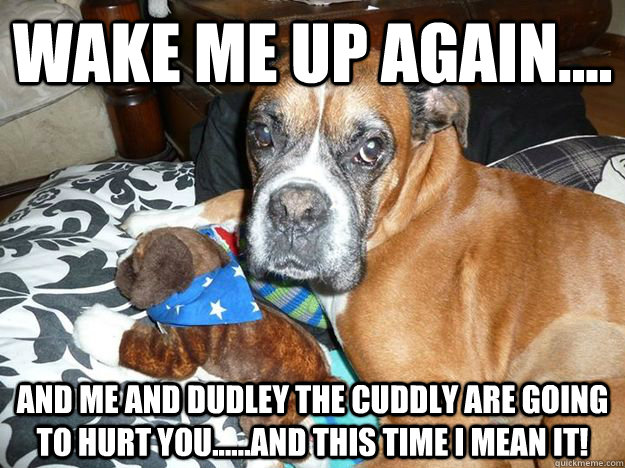 Wake me up again.... and me and Dudley the cuddly are going to hurt you......and this time I mean it!  Oscar