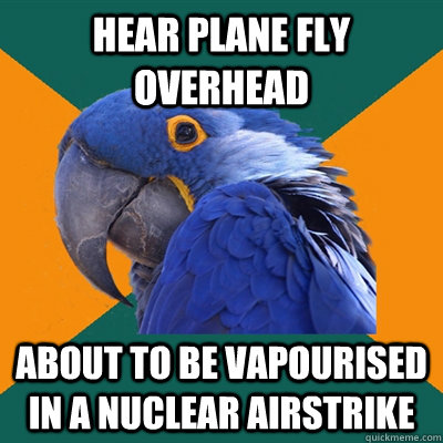 HEAR PLANE FLY OVERHEAD ABOUT TO BE VAPOURISED IN A NUCLEAR AIRSTRIKE  Paranoid Parrot