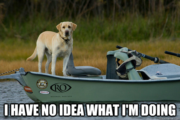 I HAVE NO IDEA WHAT I'M DOING - I HAVE NO IDEA WHAT I'M DOING  Fly Fishing Dog