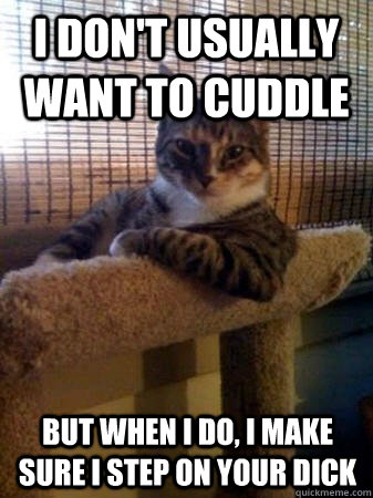 I don't usually want to cuddle but when i do, i make sure i step on your dick  The Most Interesting Cat in the World