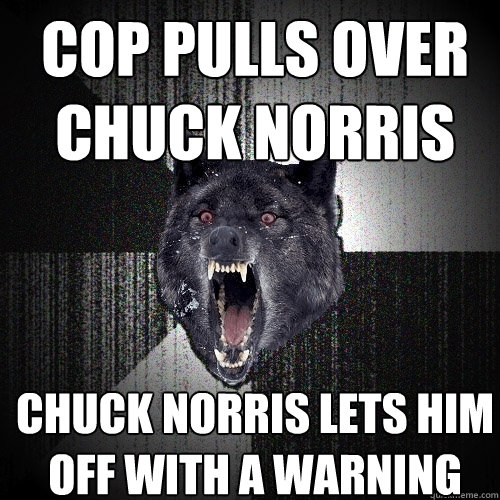 cop pulls over Chuck Norris Chuck Norris lets him off with a warning  Insanity Wolf