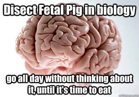 Disect Fetal Pig in biology go all day without thinking about it, until it's time to eat   Scumbag Brain
