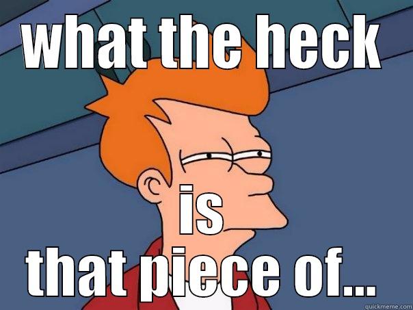 WHAT THE HECK IS THAT PIECE OF... Futurama Fry