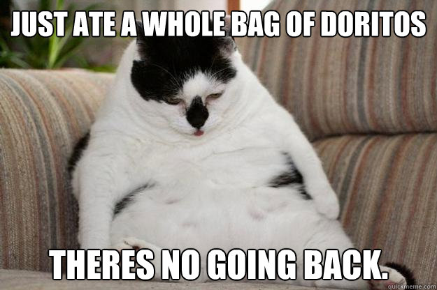 Just ate a whole bag of doritos theres no going back. - Just ate a whole bag of doritos theres no going back.  Self-Conscious Cat