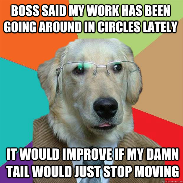 boss said my work has been going around in circles lately it would improve if my damn tail would just stop moving   Business Dog
