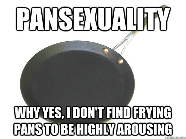 Pansexuality Why yes, I don't find frying pans to be highly arousing  Pansexuality