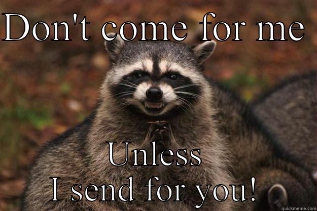 DON'T COME FOR ME  UNLESS I SEND FOR YOU! Evil Plotting Raccoon