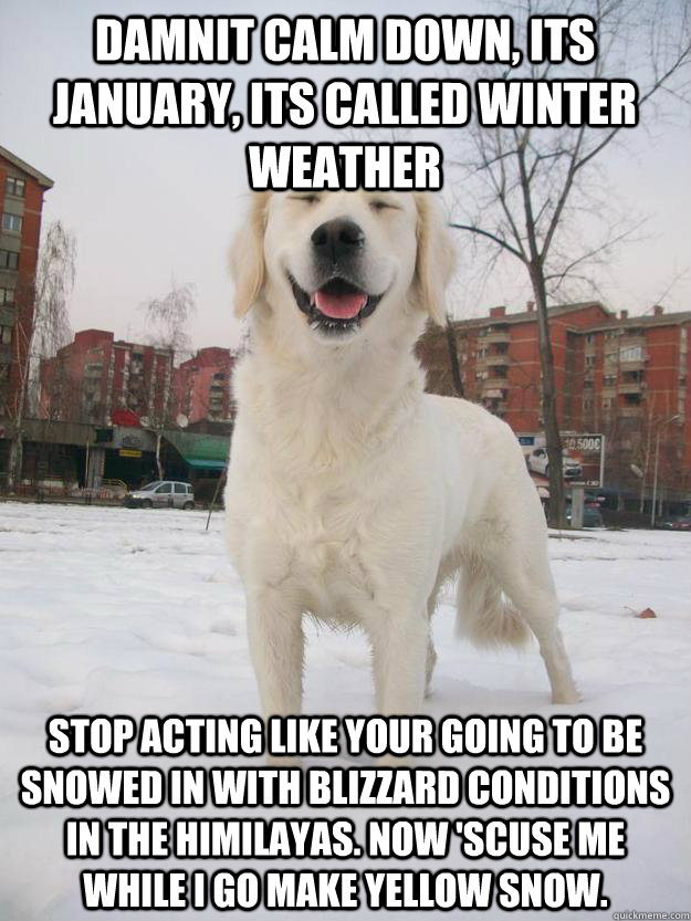 damnit calm down, its january, its called winter weather stop acting like your going to be snowed in with blizzard conditions in the himilayas. now 'scuse me while i go make yellow snow.  Stoned snow dog